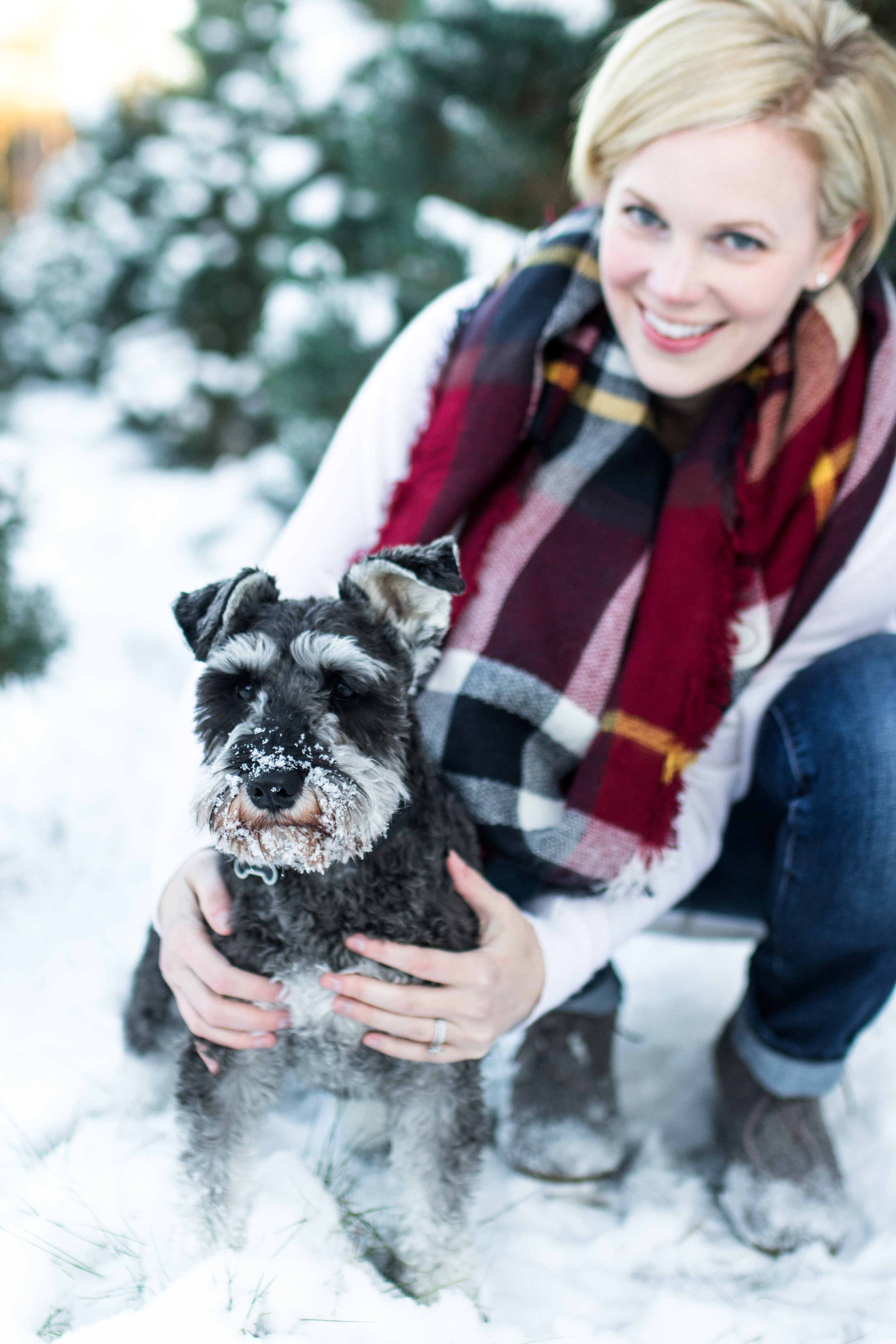 Nielsen Mini Session - Hansen Tree Farm -Sabrina Reis Photography - Minneapolis -33.jpg