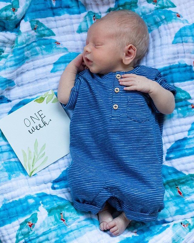 💙 O N E  W E E K !
.
How is my baby boy already a week old?! Time really does go so fast!
.
This past week has been so full of learning for all of us! Learning how to function on minimal, broken sleep (of course) and our awake time filled with baby 