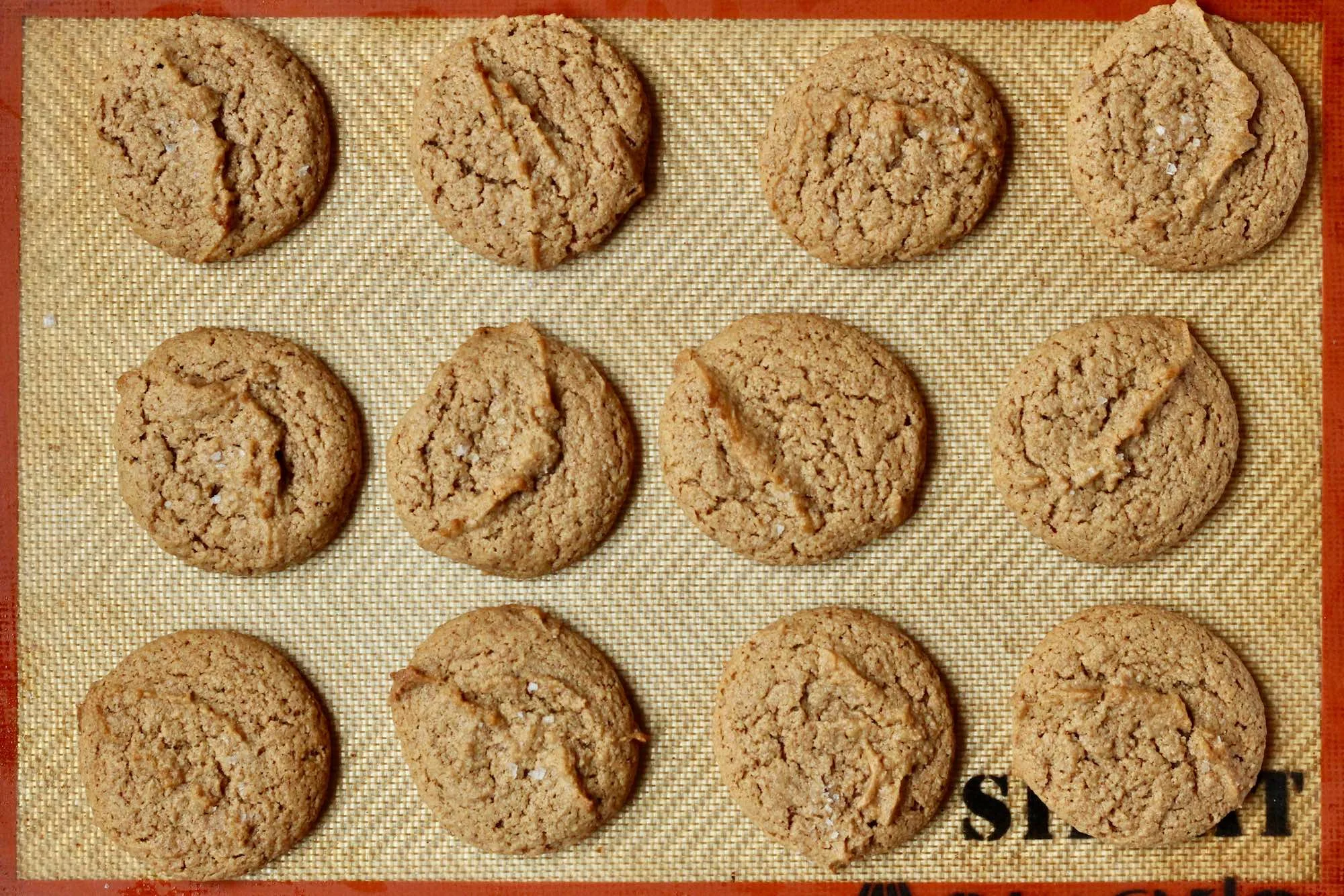 almond cookies top.jpg
