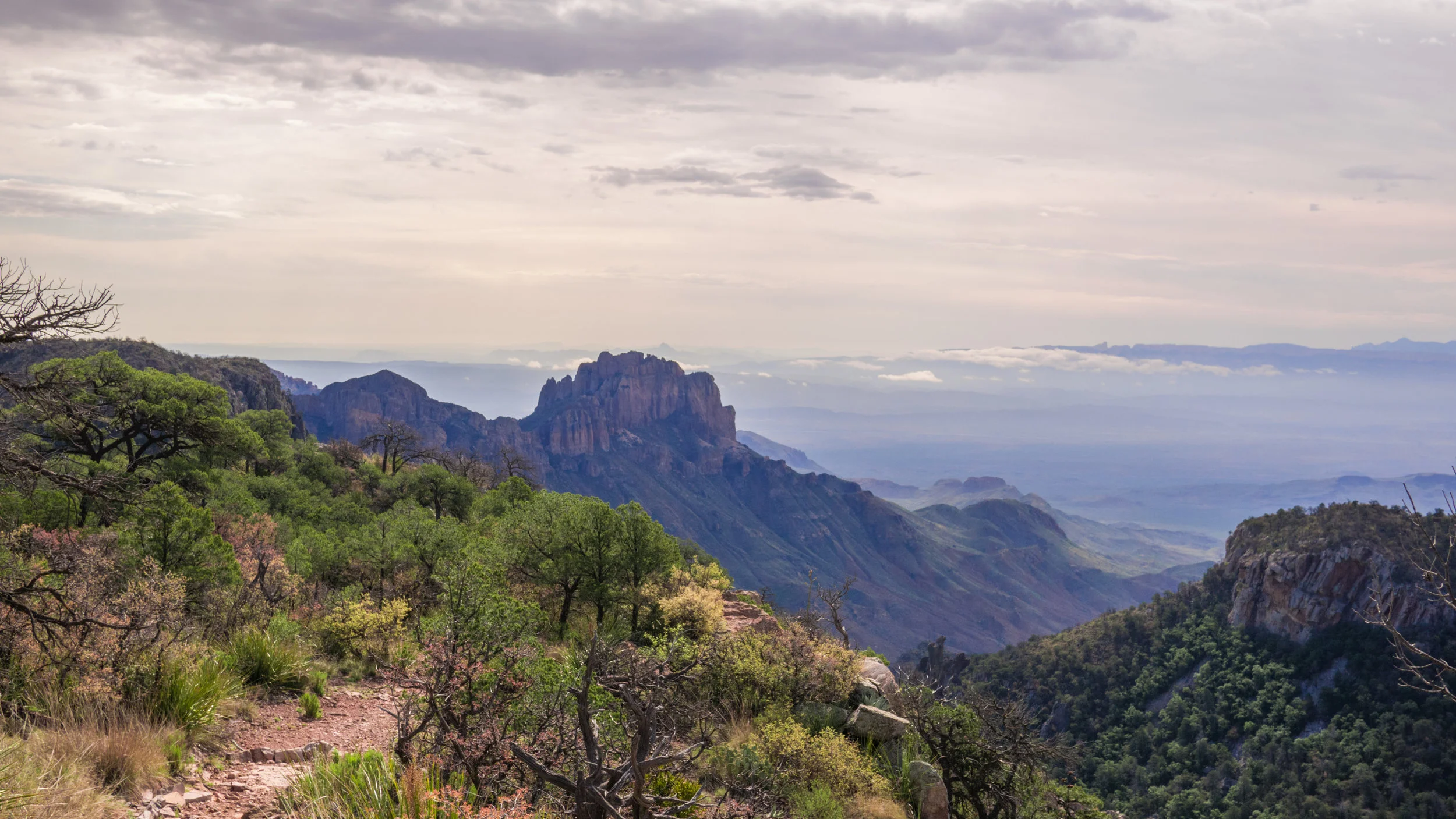 Emory Peak Trail