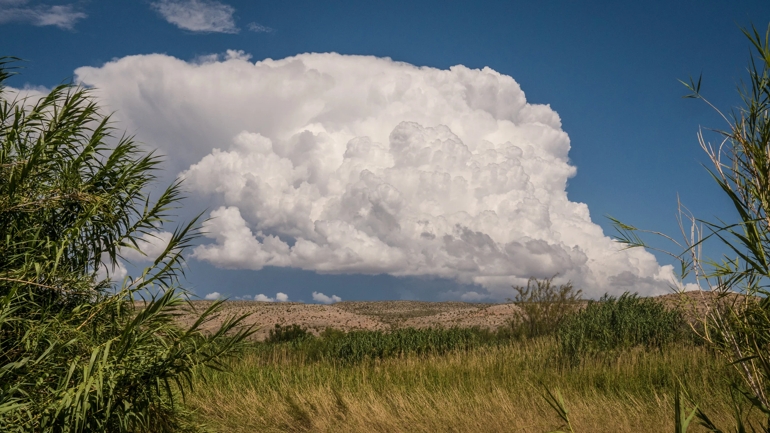 Big Bend Thunderstorm