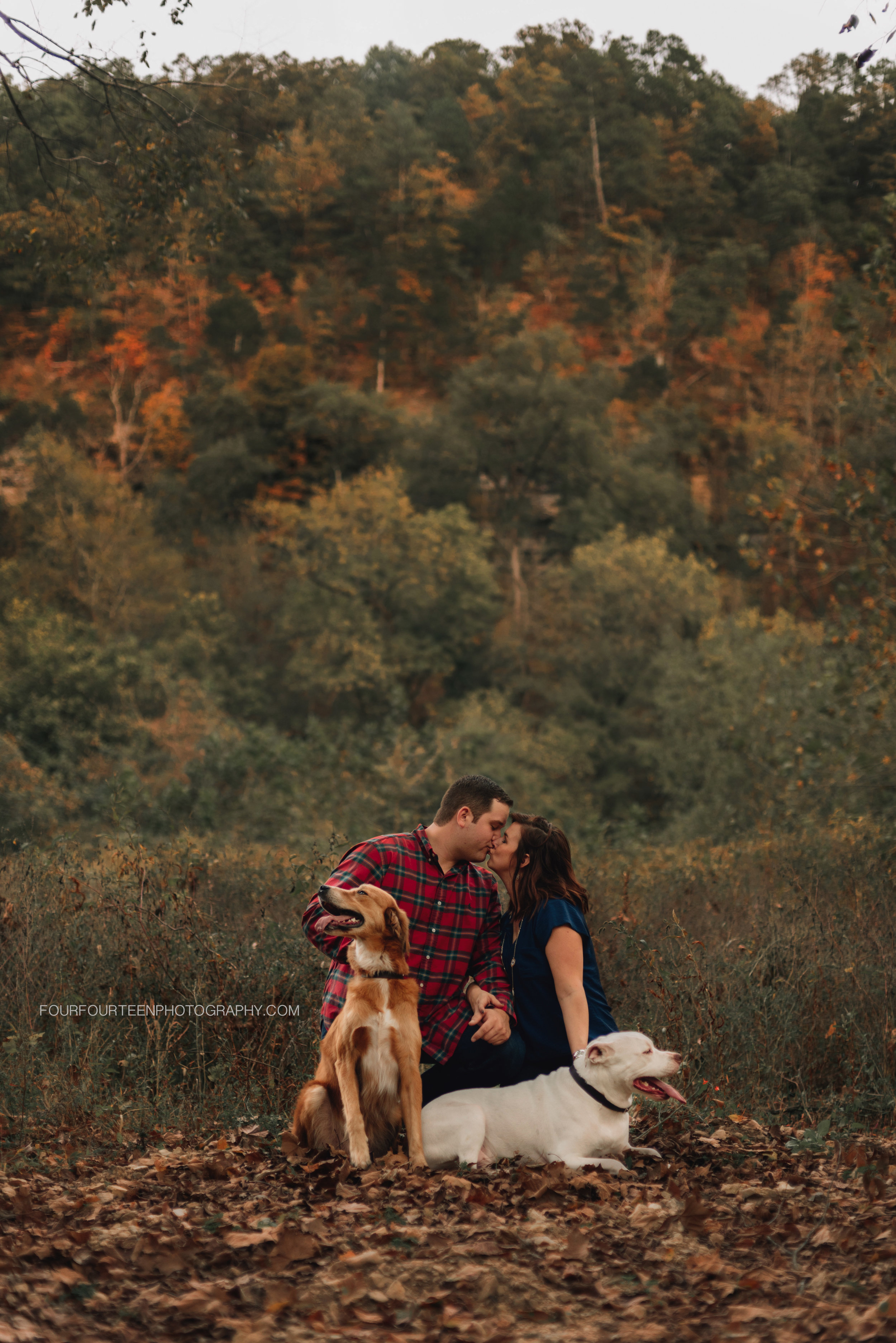 DSC_0329web.jpg