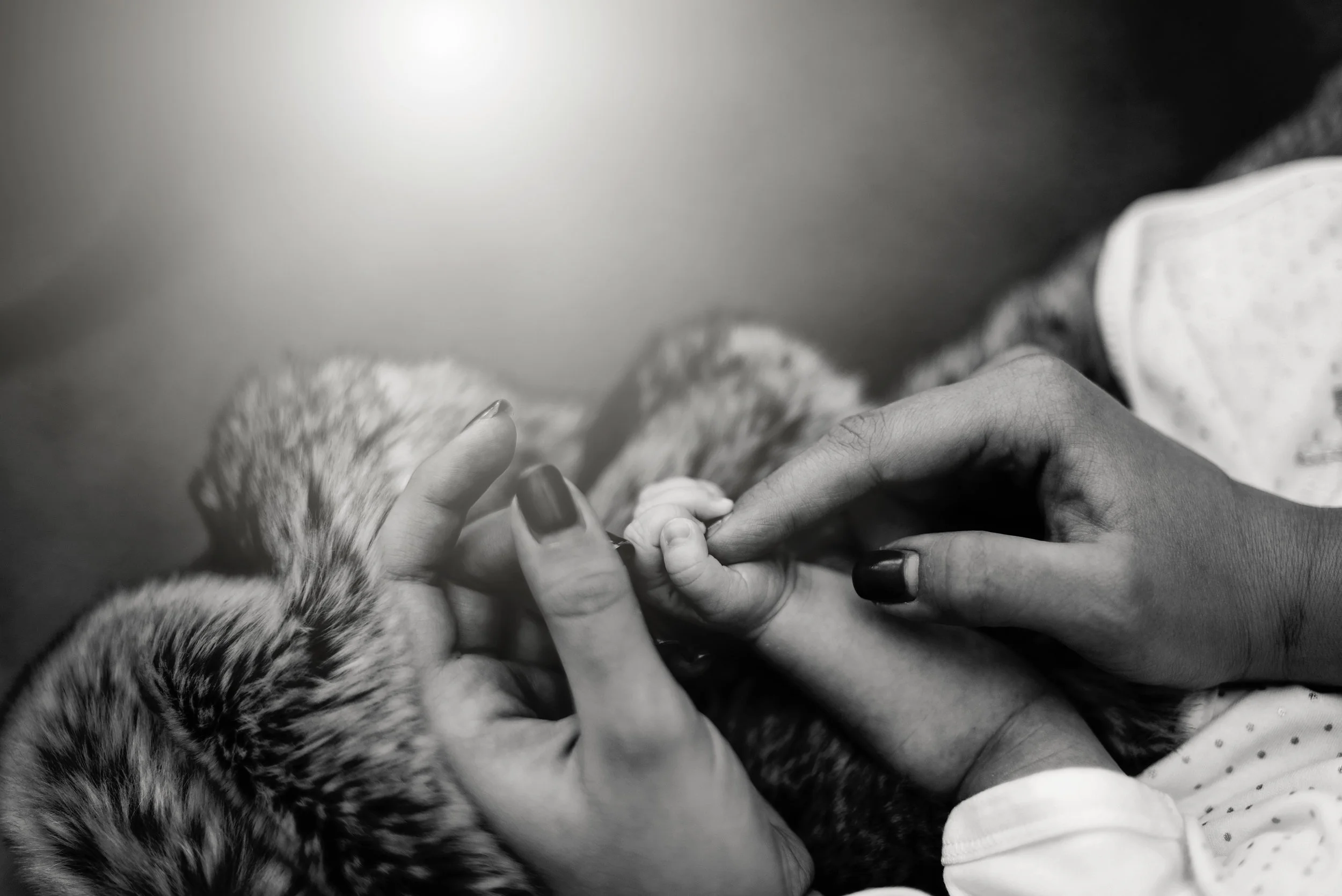 Tyleigh Joy { Siloam Springs, Arkansas | New Life Photography } 