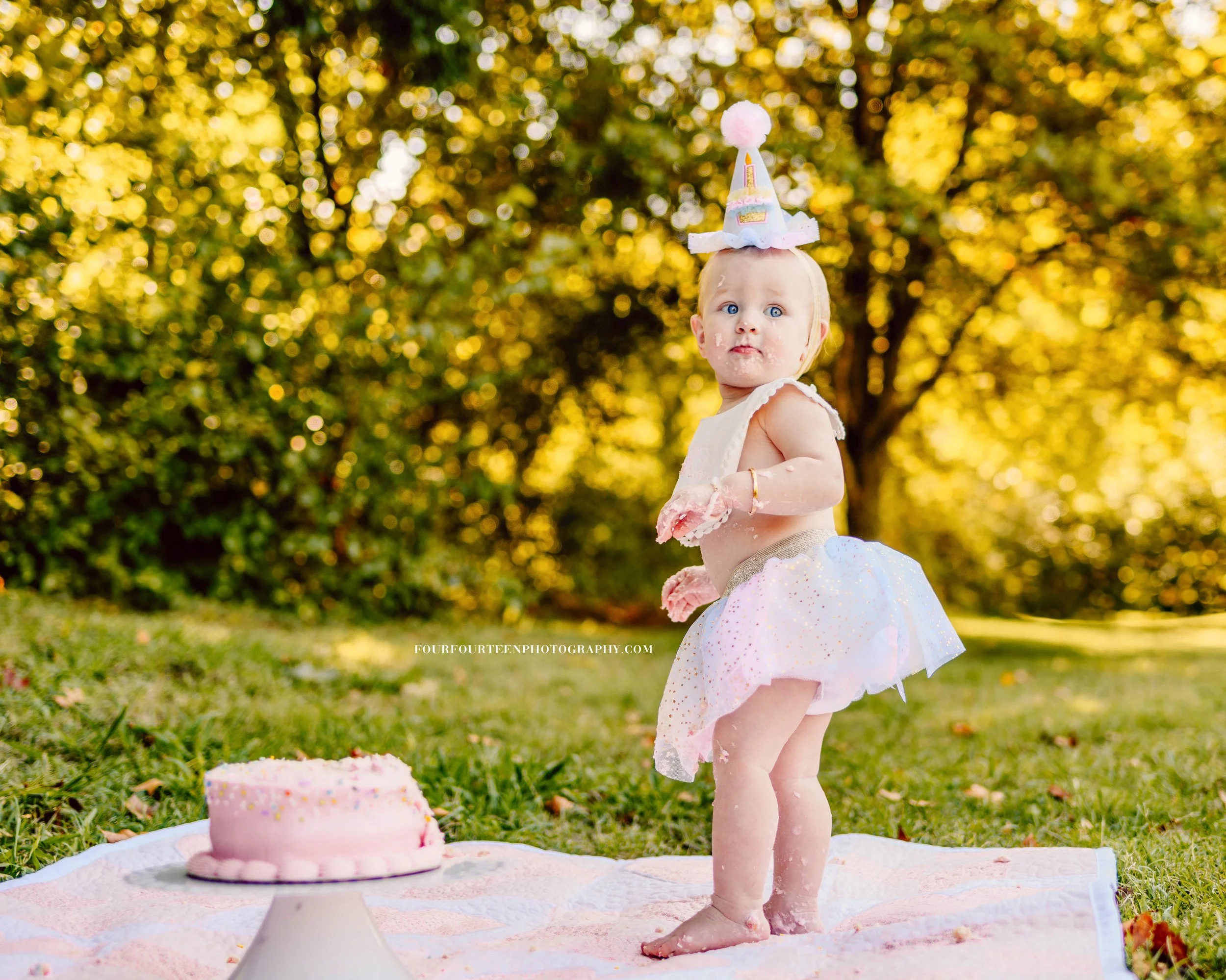 Coats Family { Wilson Park - Fayetteville, Arkansas | Cake Smash | First Birthday Portraits }
