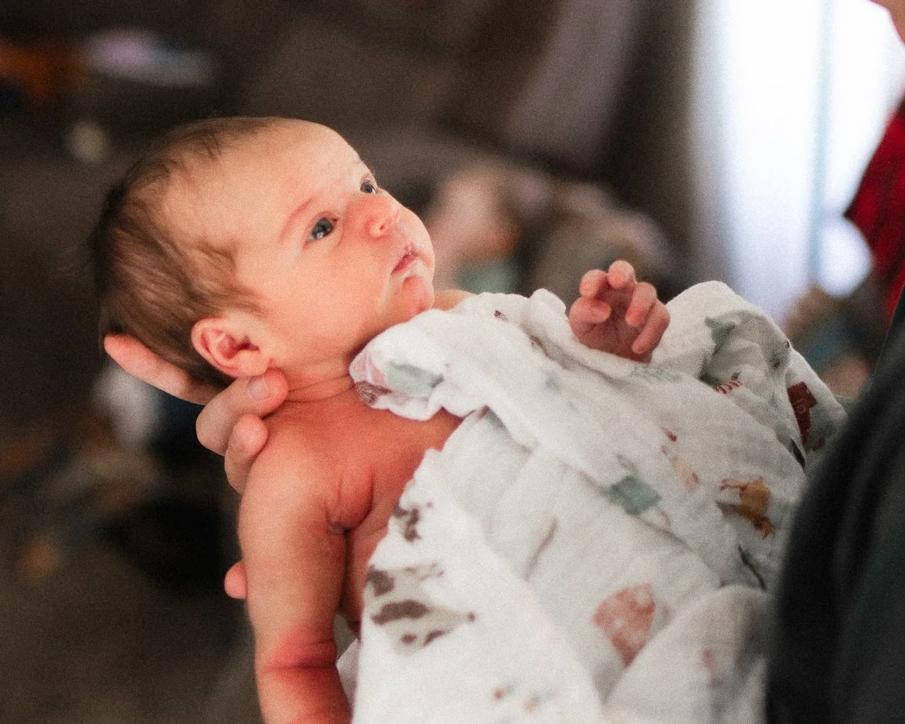 Graves Newborn { Maysville, Arkansas | Newborn Photography }