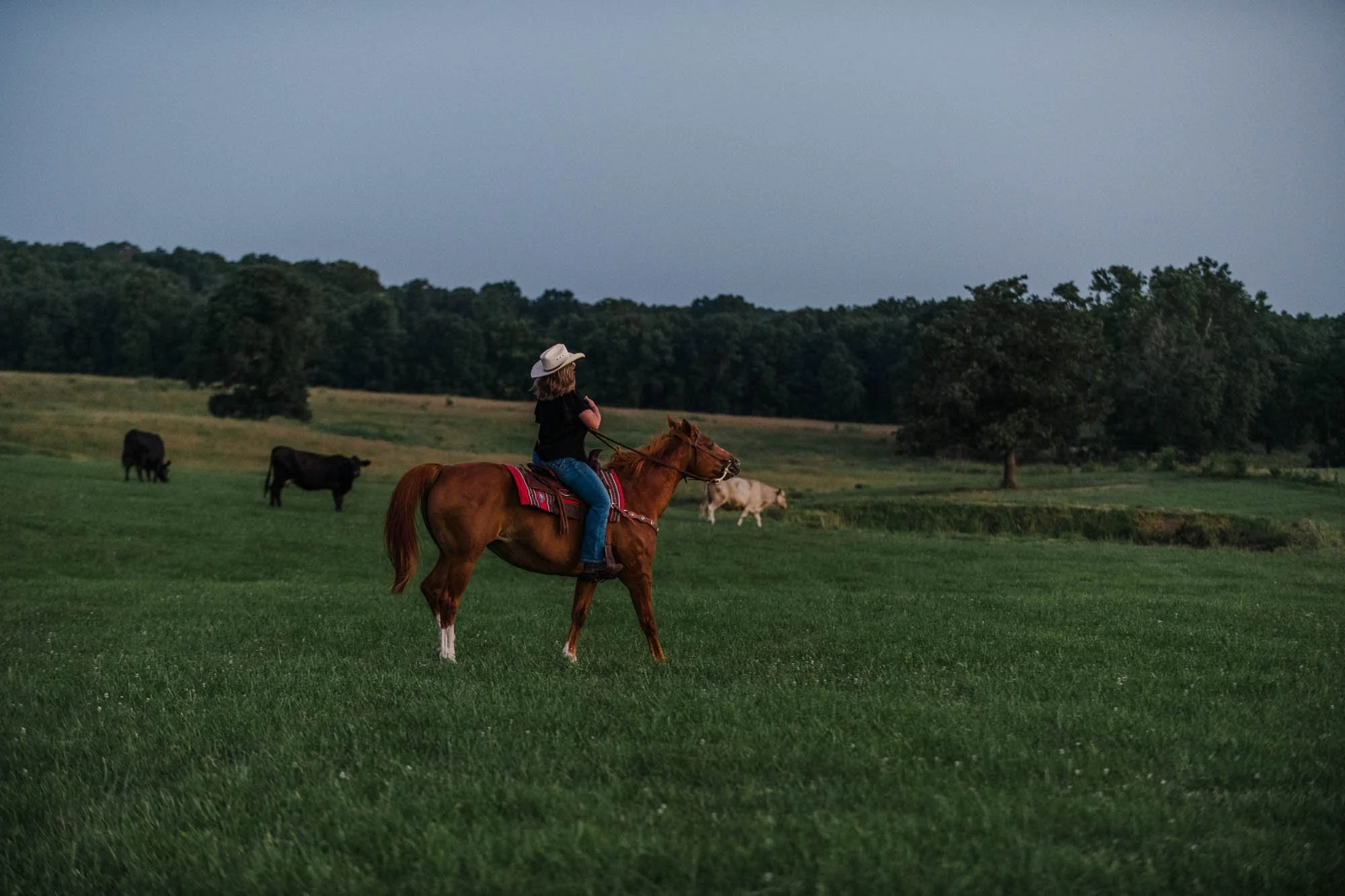 DSC_9961.jpg