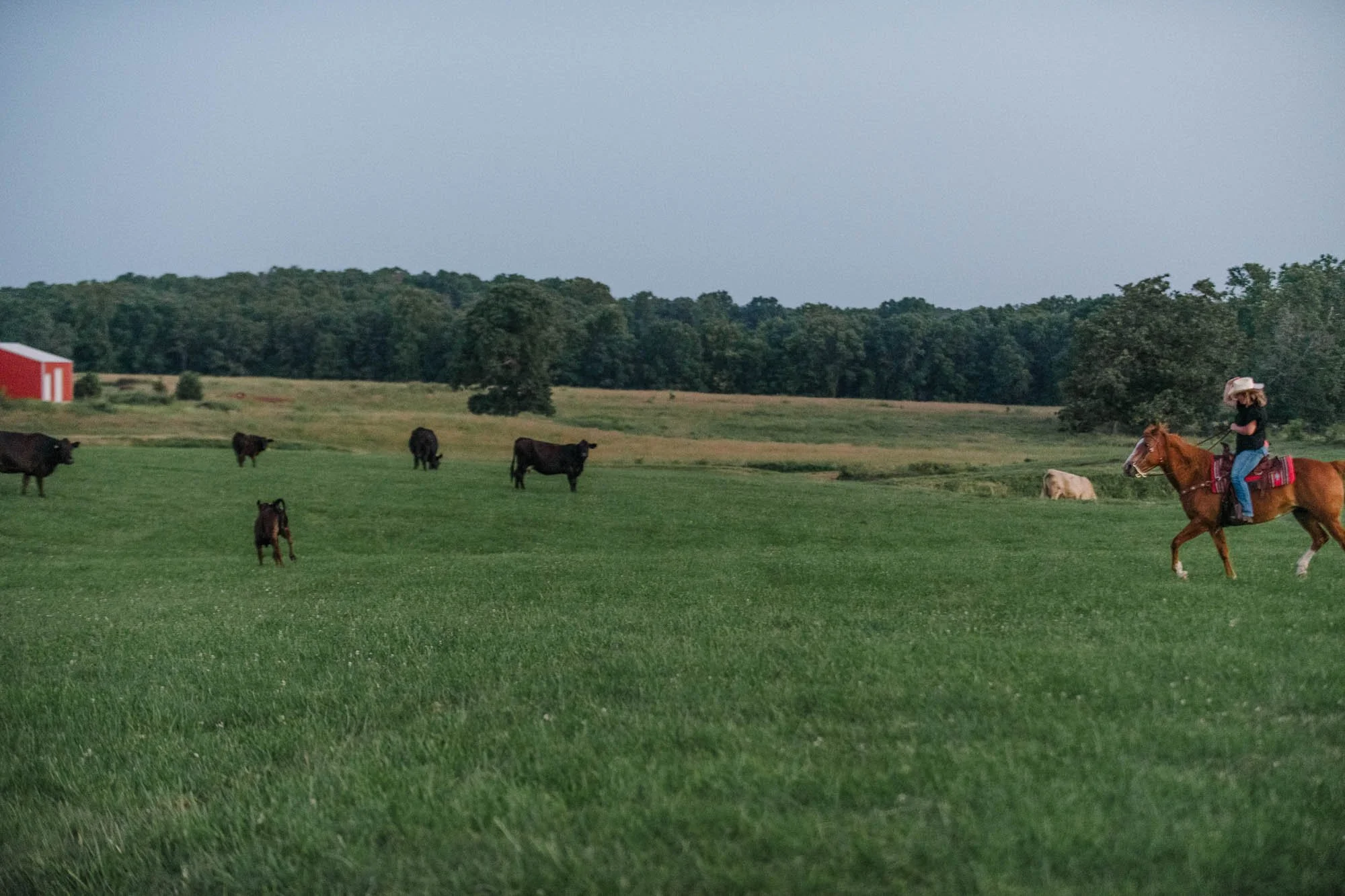 DSC_9971.jpg