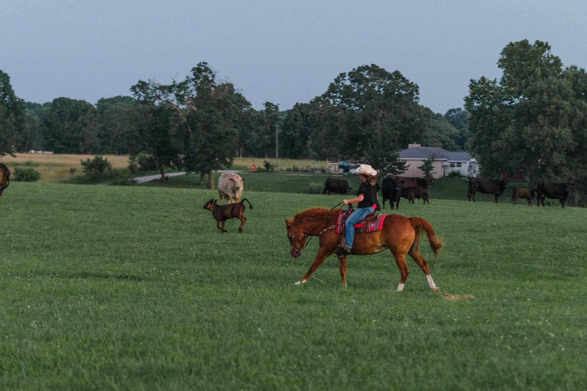 DSC_9975.jpg