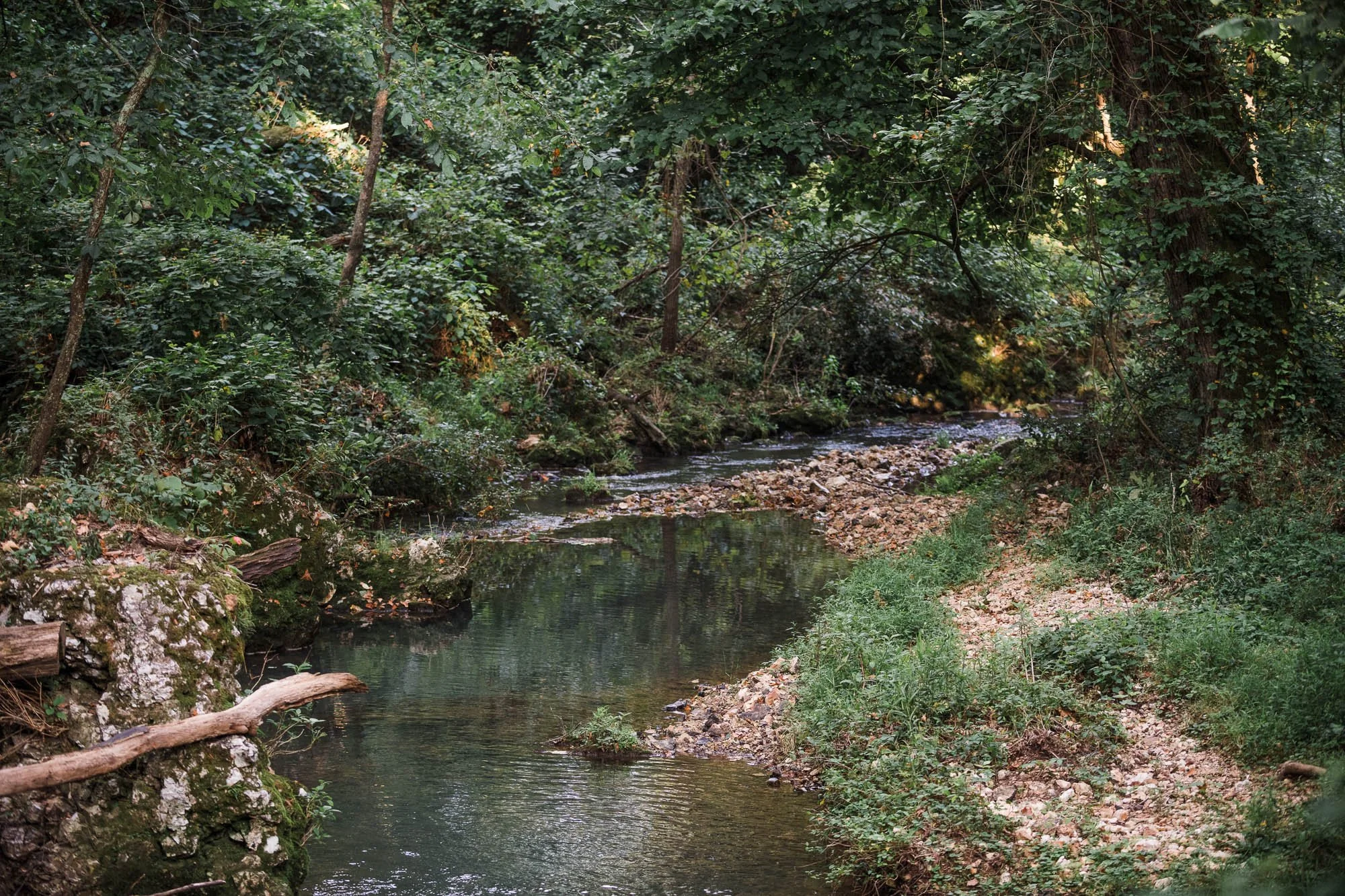 DSC_0006.jpg