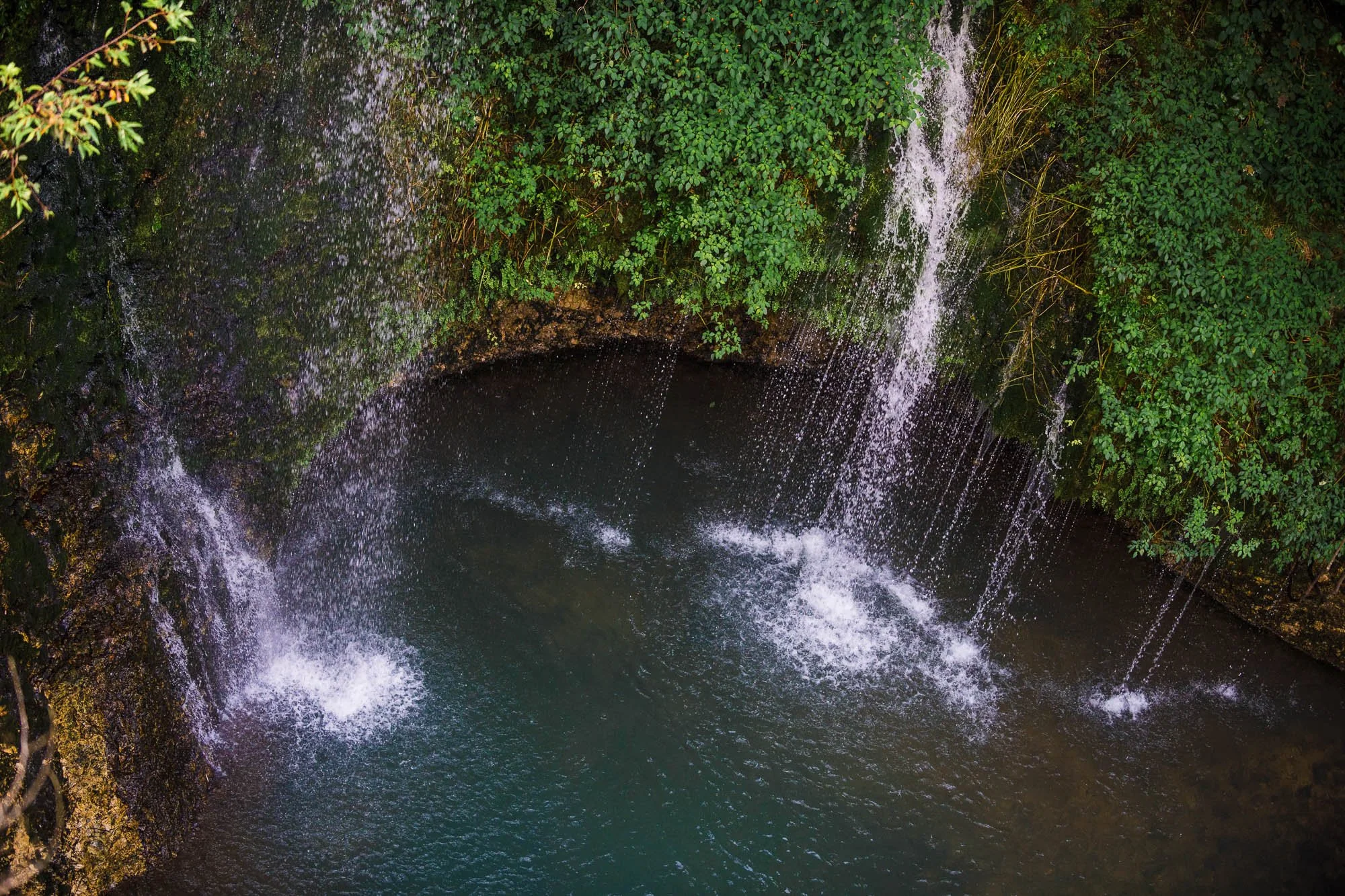 DSC_9998.jpg
