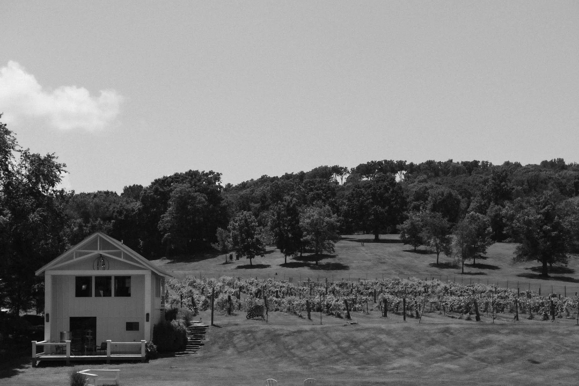 DSC_0858-2.jpg