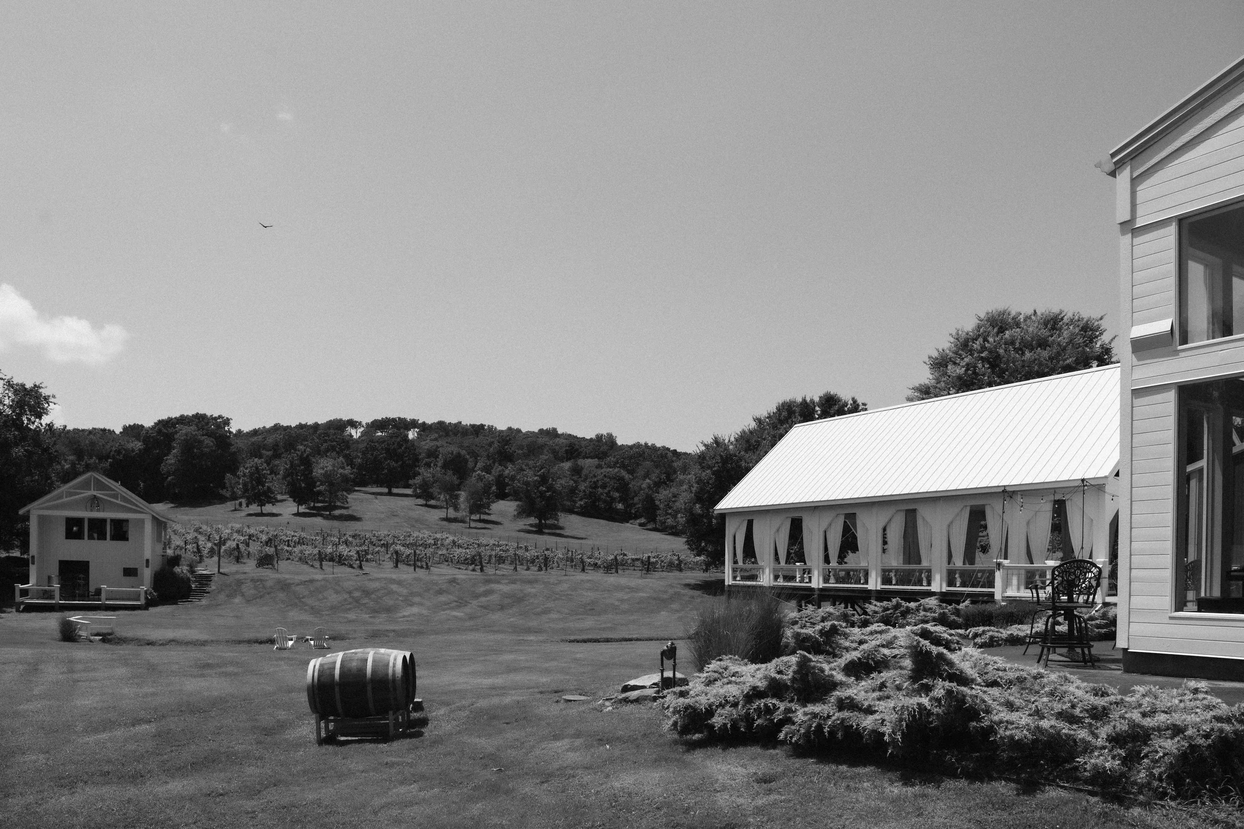 DSC_0857-2.jpg