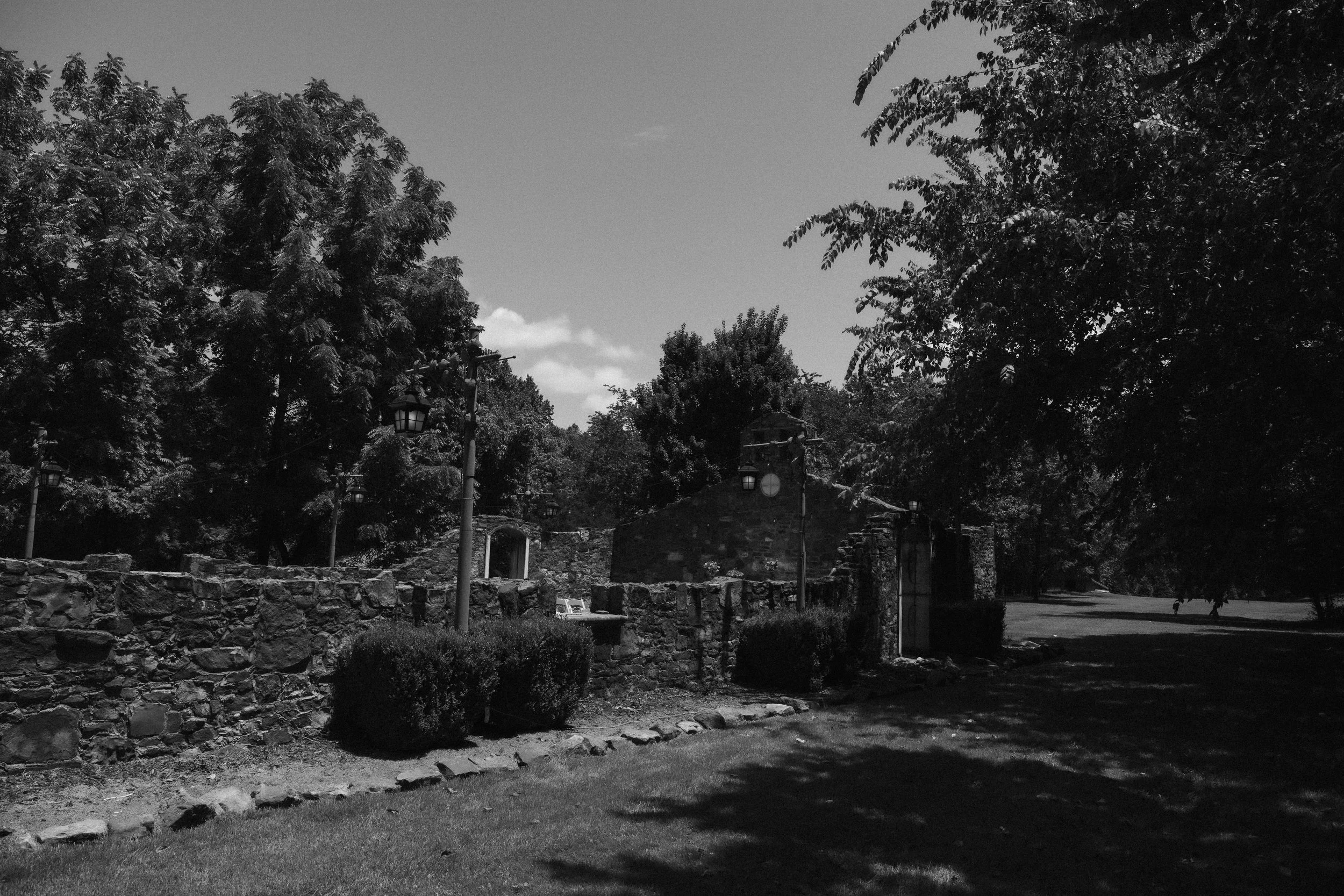 DSC_0878-2.jpg