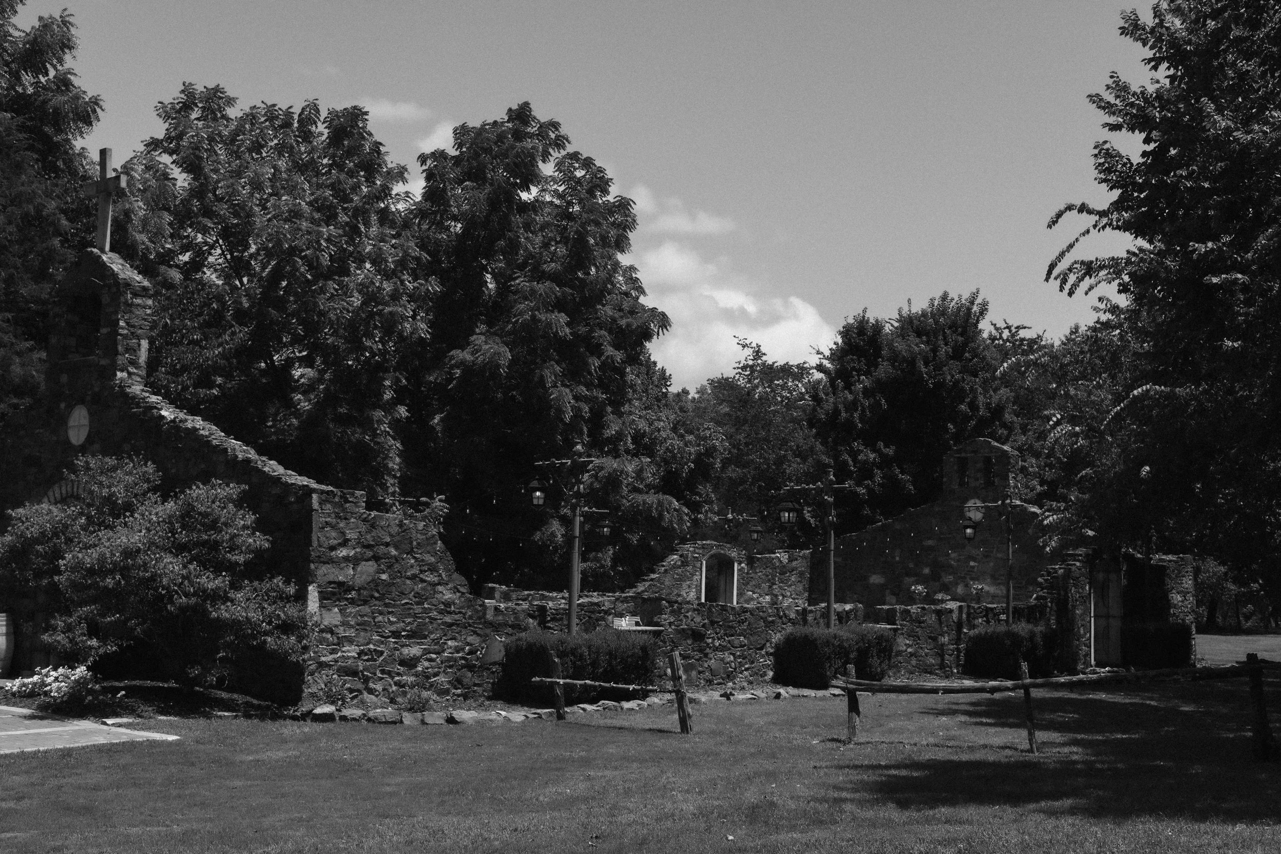 DSC_0879-2.jpg
