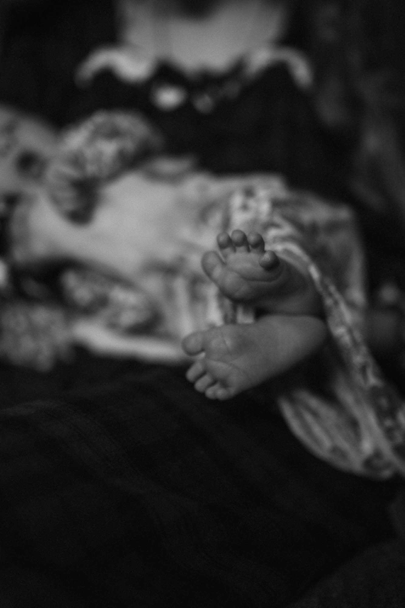 DSC_0800.jpg