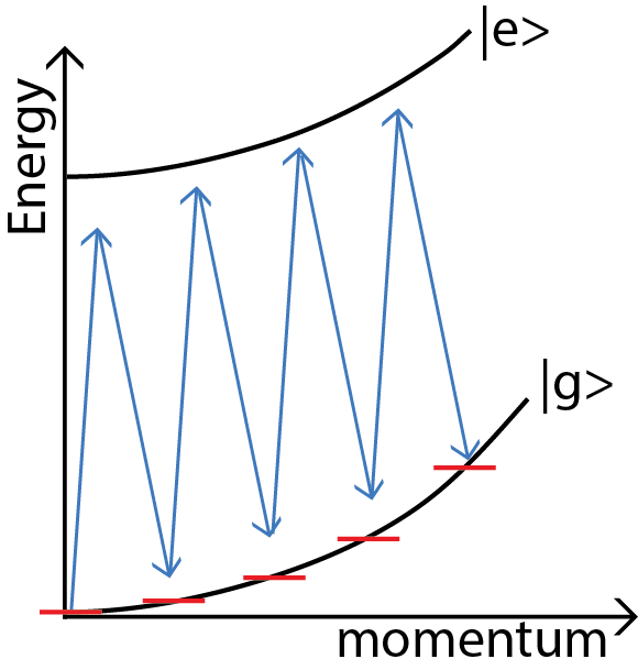 Figure 3 : In a Bragg transition, two counter-propagating beams are detuned so that transferring a specific number of photon momenta is resonant. In this diagram, the atom absorbs the momentum of 8 photons, though a different detuning would transfer a different number of photon momenta. The atom remains in the ground electronic state, but gains kinetic energy. Our group helped invent and characterize this method for atom interferometry and remains a speciality of two of our interferometers.