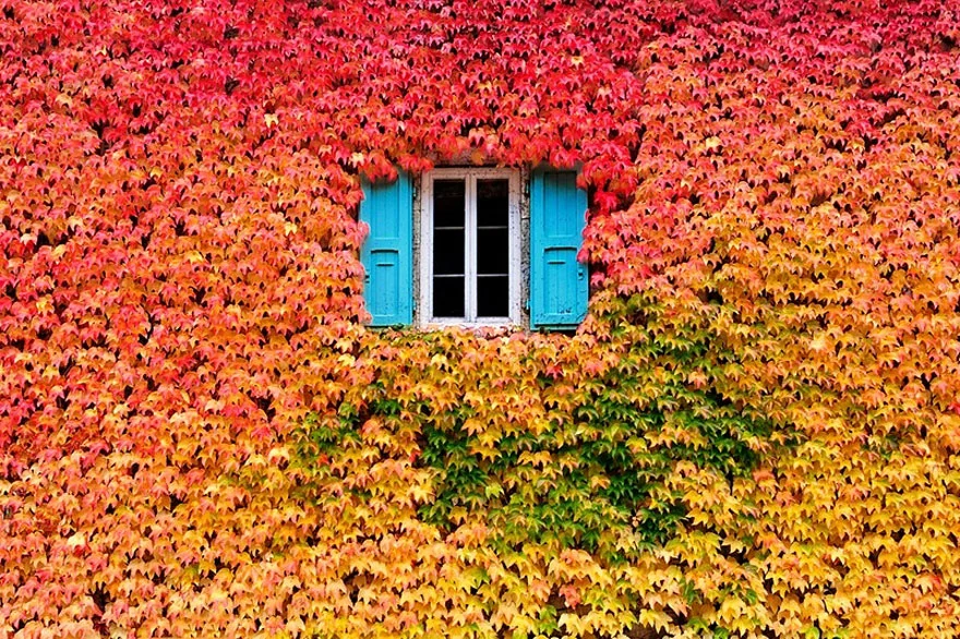 autumn-photography-2.jpg