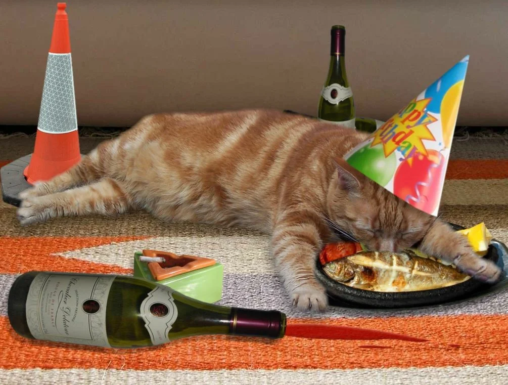 overindulgence.jpg