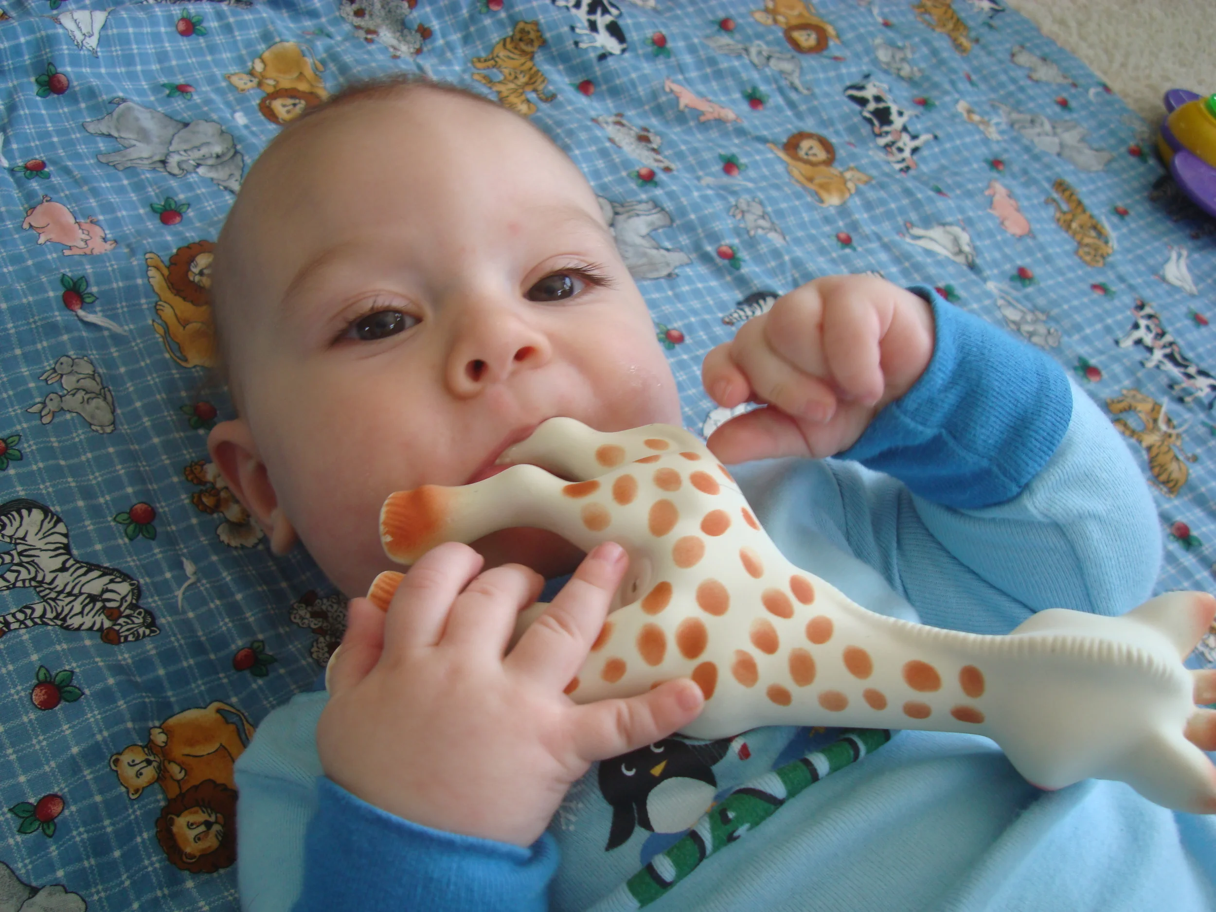 My Favorite "Green" Toys for Babies and Toddlers