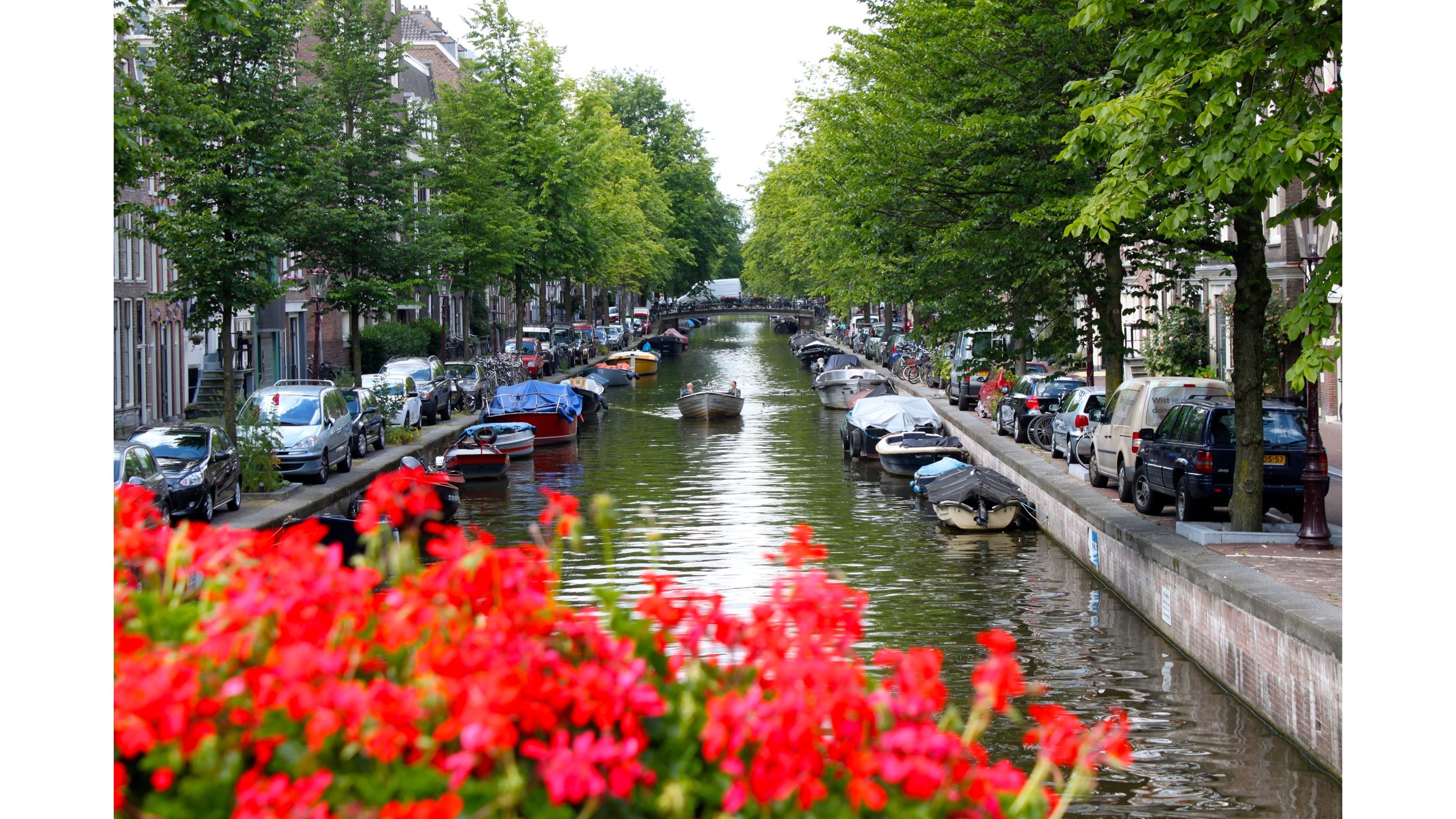 Spring-2016-Amsterdam-4K-Wallpaper.jpg