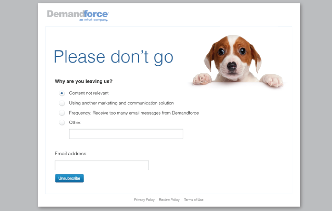 demandforce-portfolio-04.png