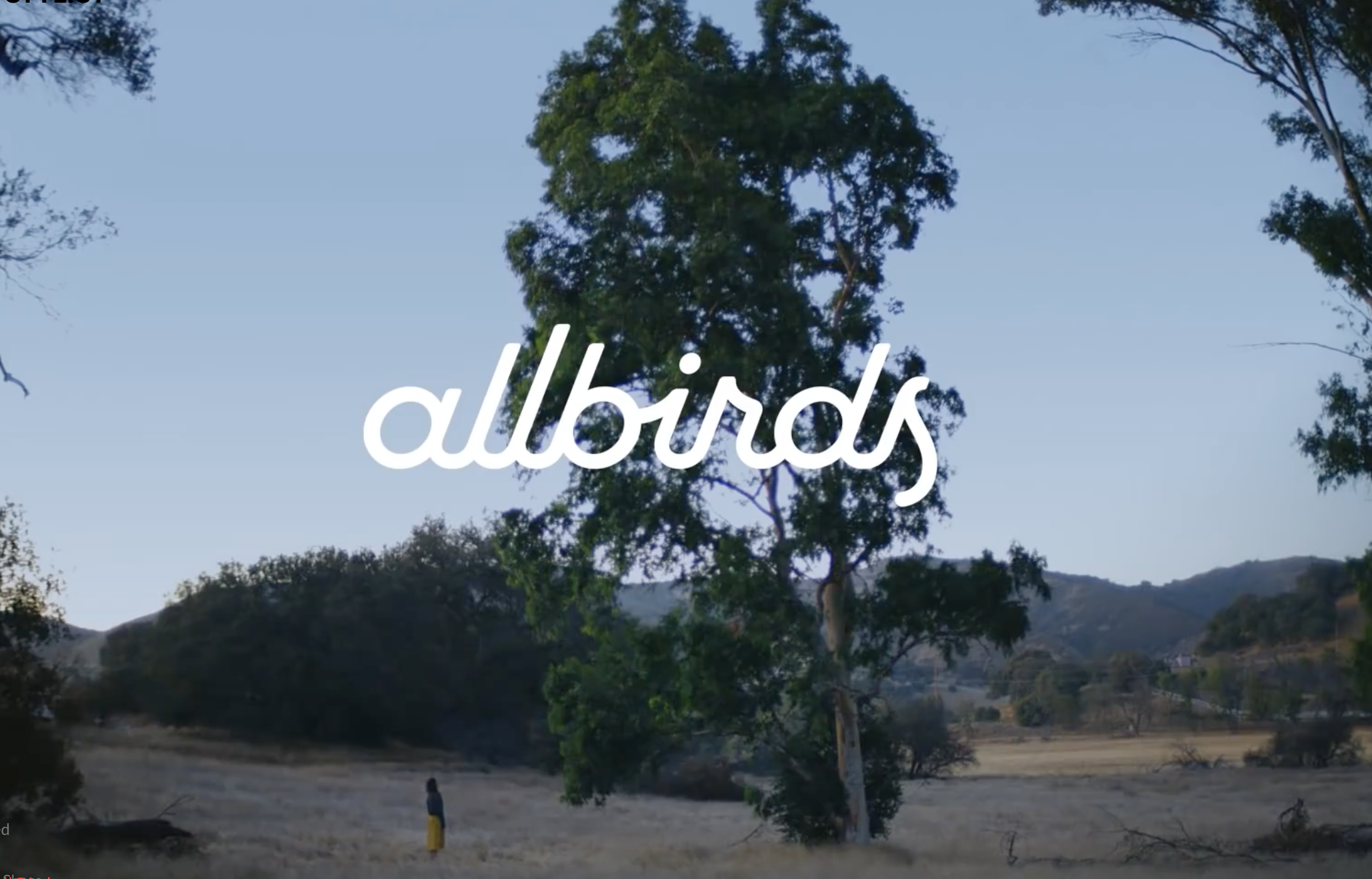 Allbirds: Meet Your Shoes - Tree Meeting (Full-length)