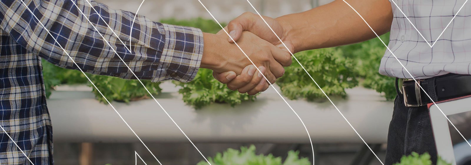 Sustainability Solutions Exchange
