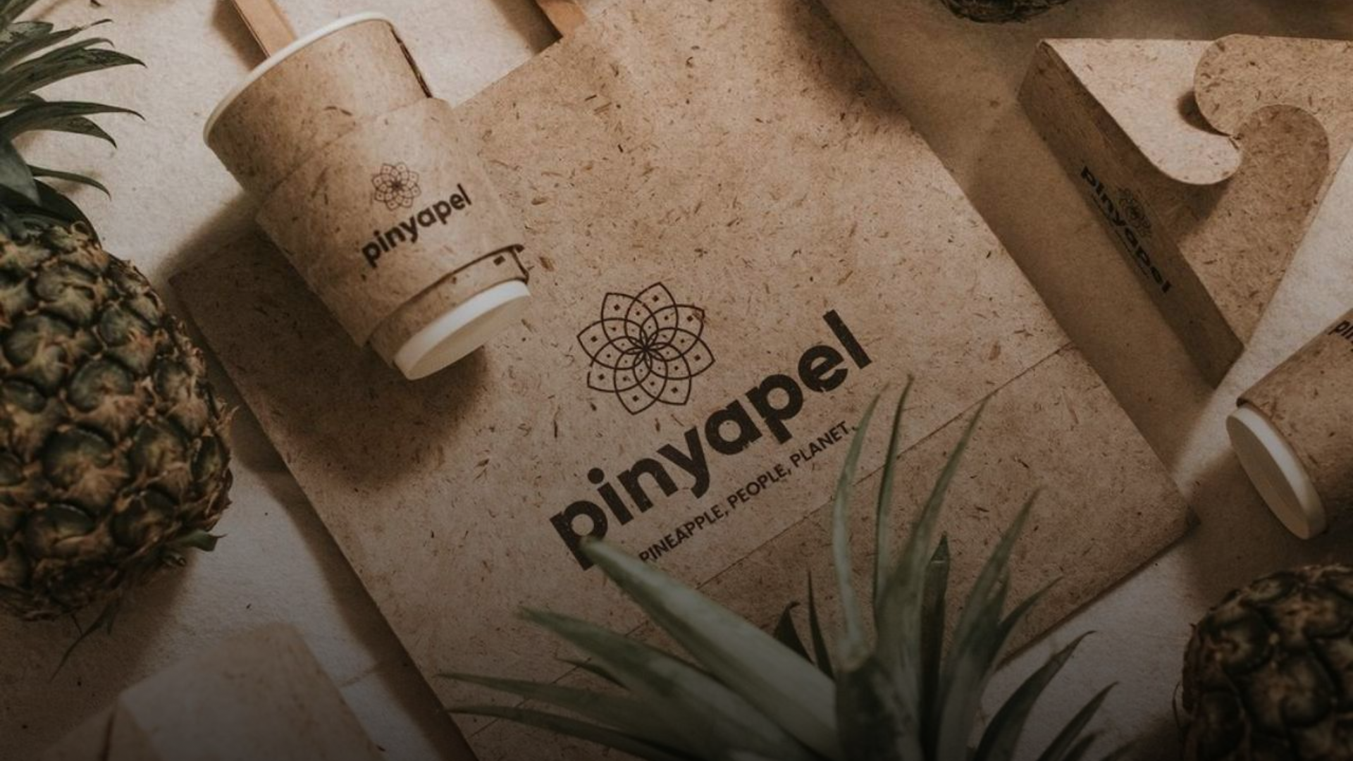 PINYAPEL.png