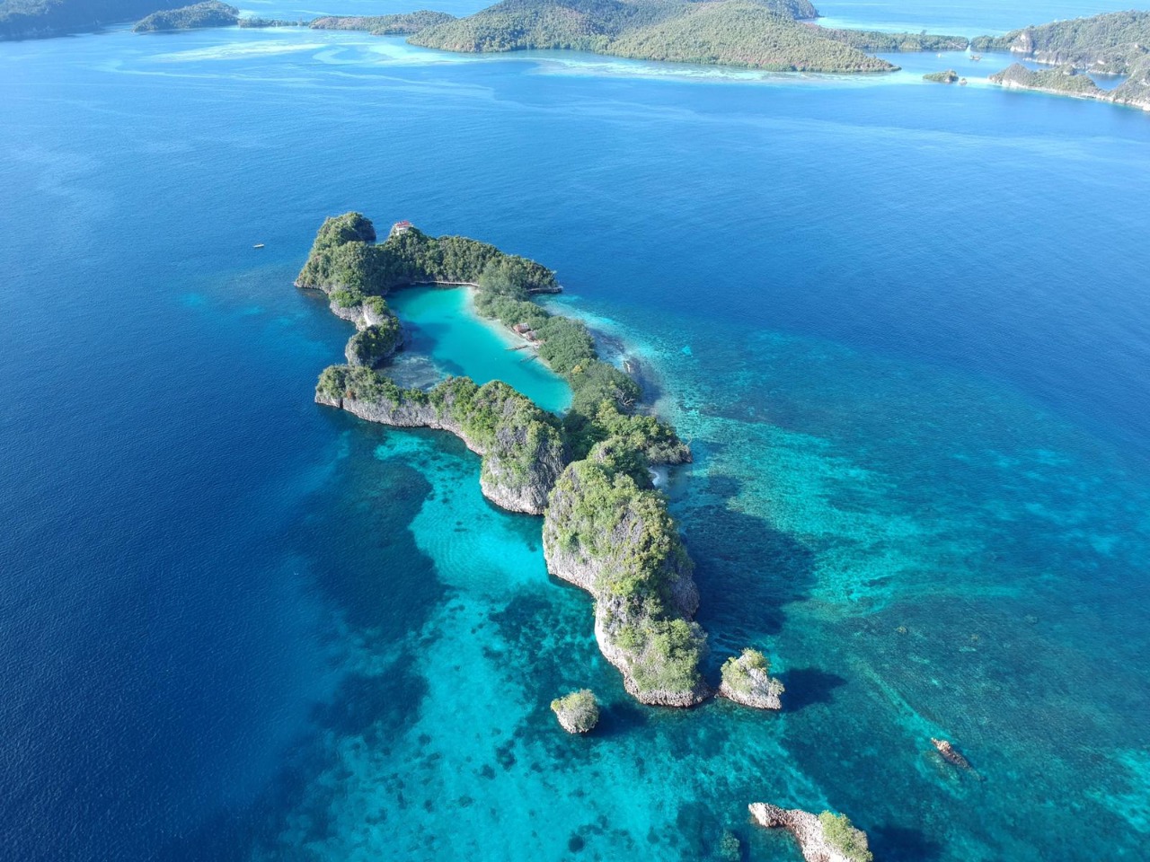 scuba-diving-raja-ampat.jpg