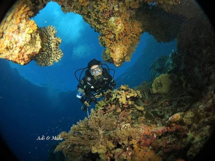 indonesia-scuba-diving.jpg