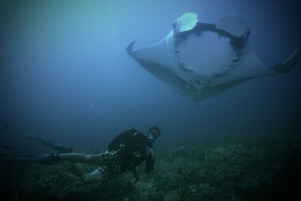 indonesia-diving.jpg
