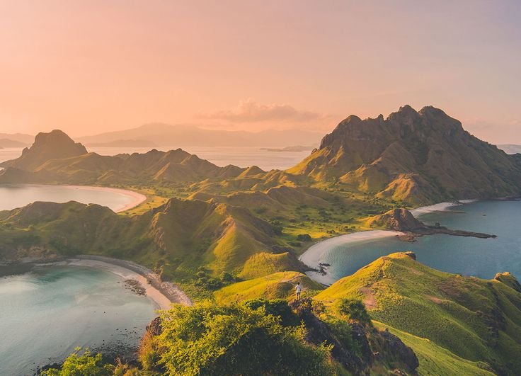 Budget Liveaboard Komodo: World-Class Diving Without the Price Tag