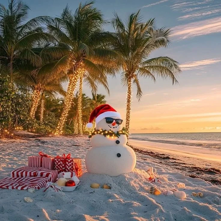 Merry Christmas from Liquid Adventures Indonesia