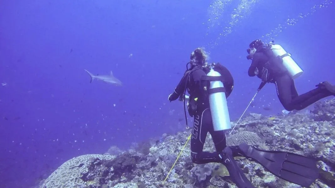 How to Dive Safely in Strong Currents