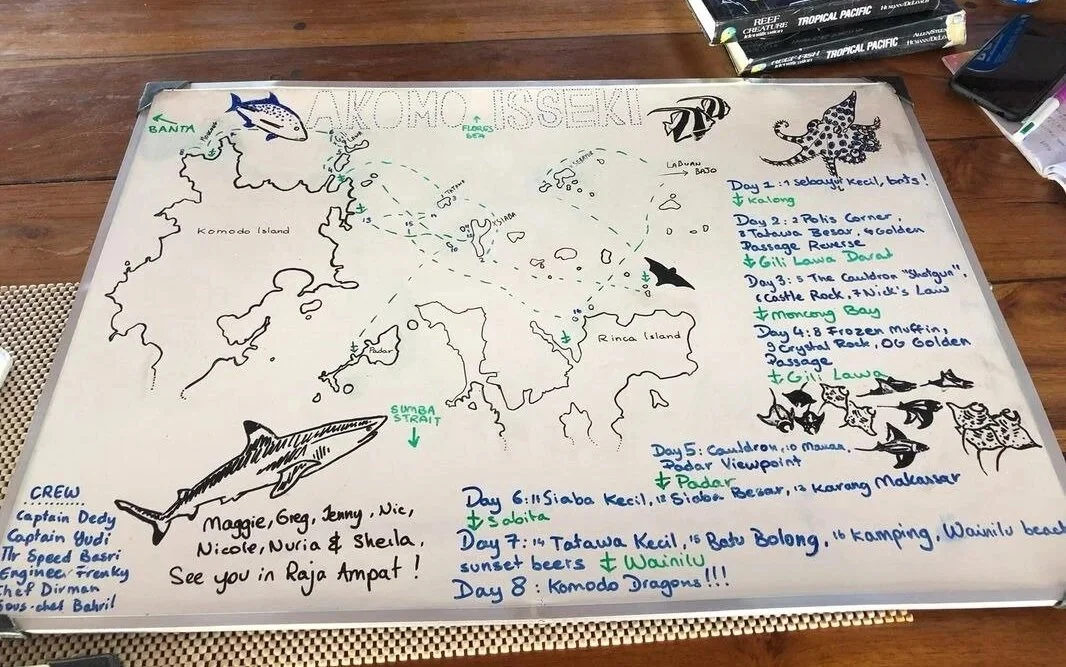 Is Diving in Komodo Safe? Understanding Real Conditions