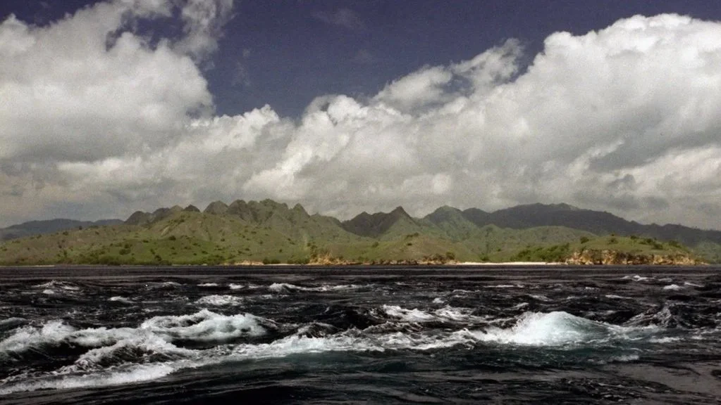 Understanding Komodo Sea Conditions