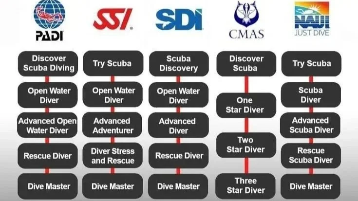 What Certification Do You Really Need for Komodo Diving?