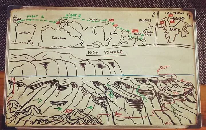 Behind the Scenes: How Dive Crews Plan Each Day in Komodo