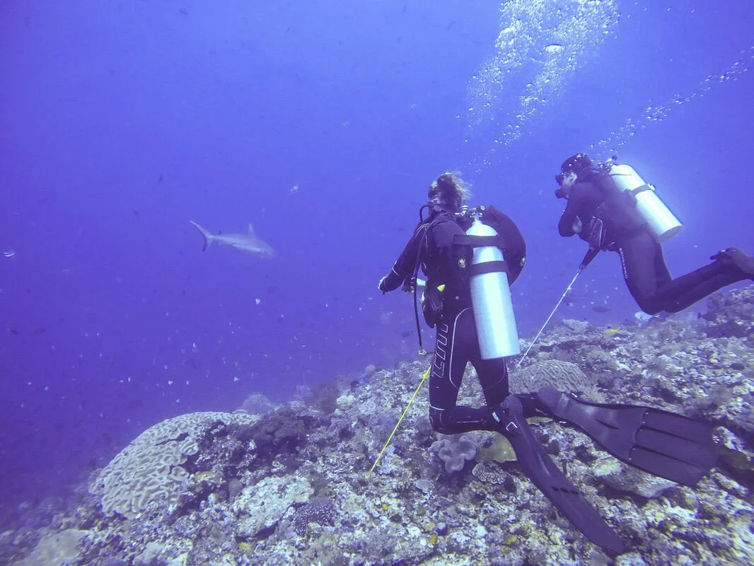 Is Diving in Komodo Difficult? The Honest Answer