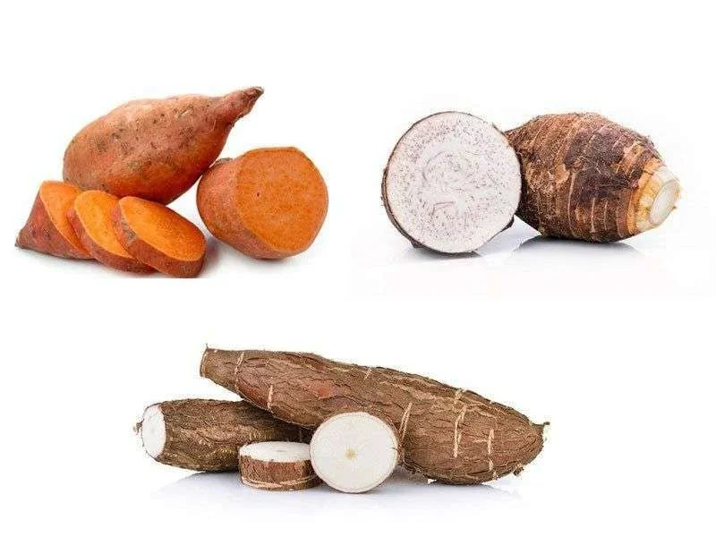 Ubi & Singkong1.jpeg