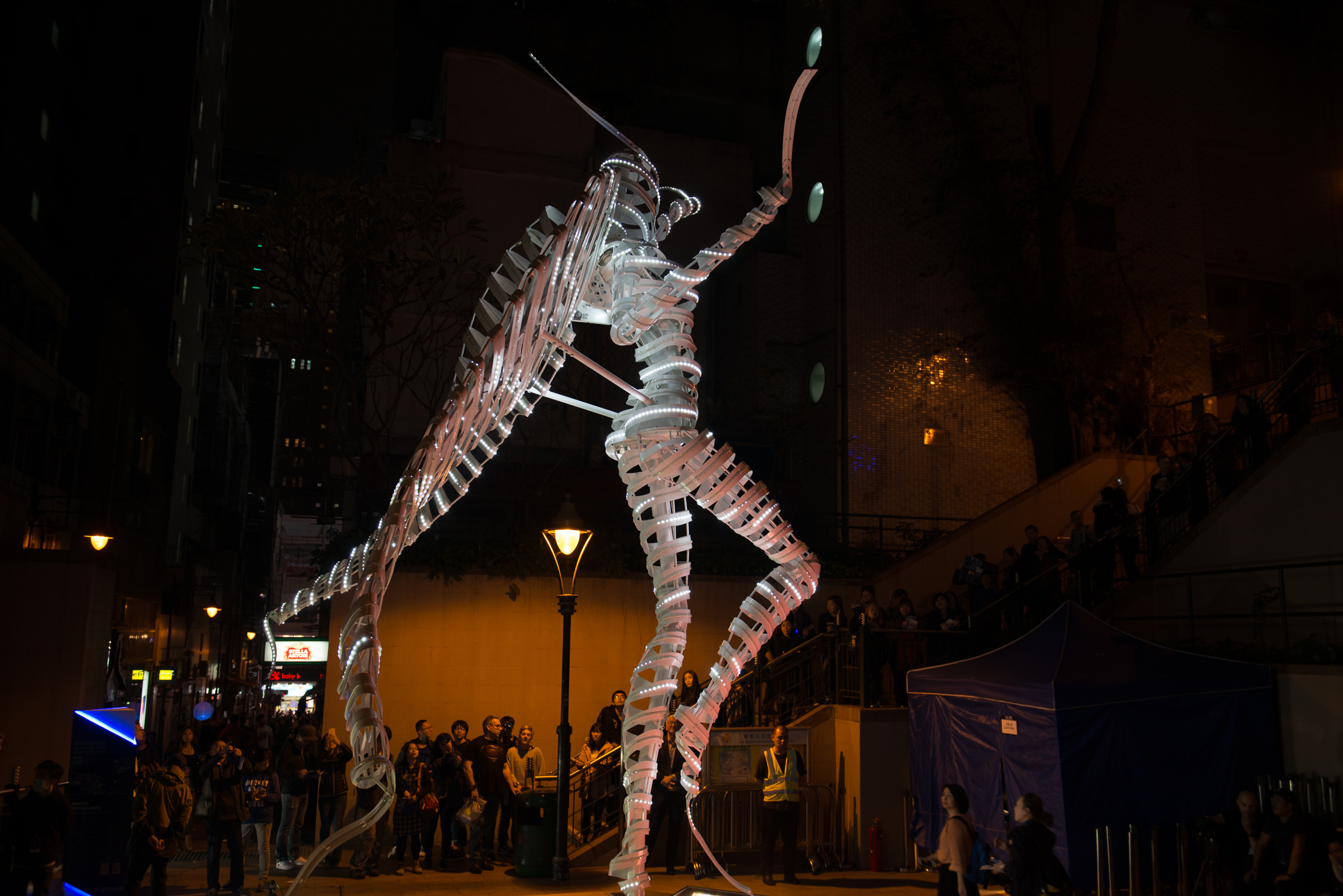 DSC_4311.jpg