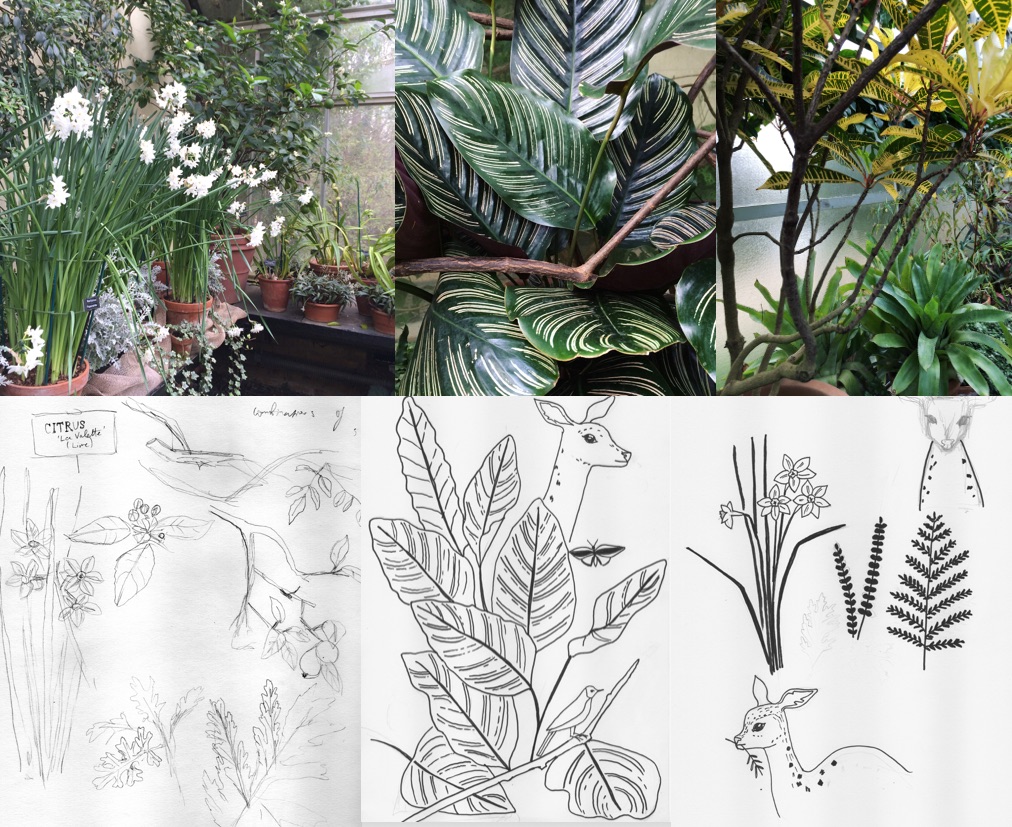 Sabina Radeva, Photos and sketches from the Botanical Garden, Oxford, 2015.