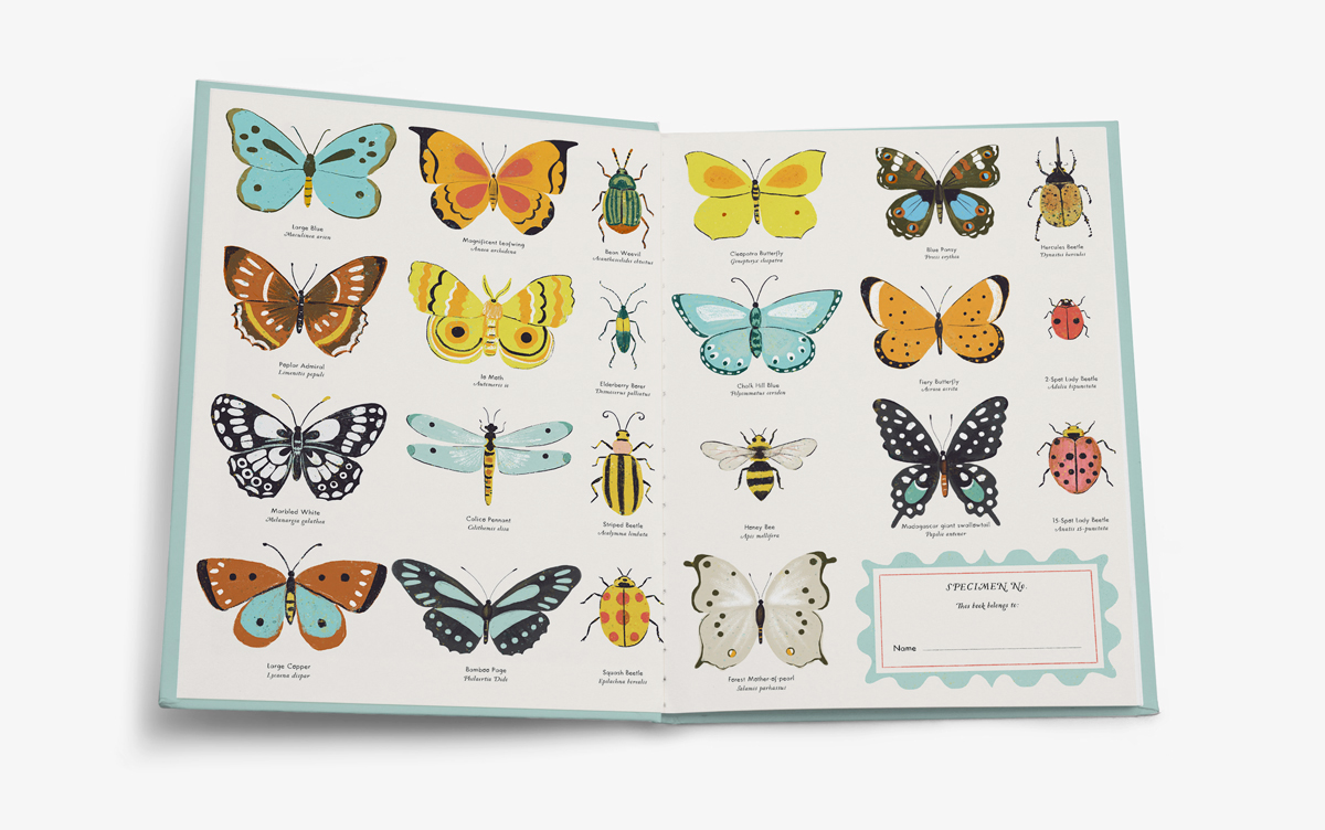 end-papers.jpg