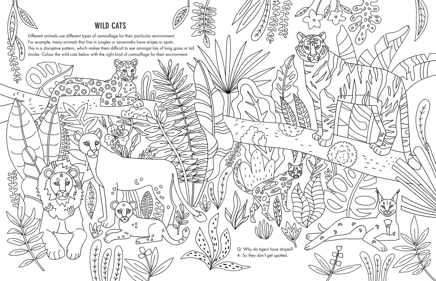 The colouring pages were made in collaboration with Iglika Kodjakova