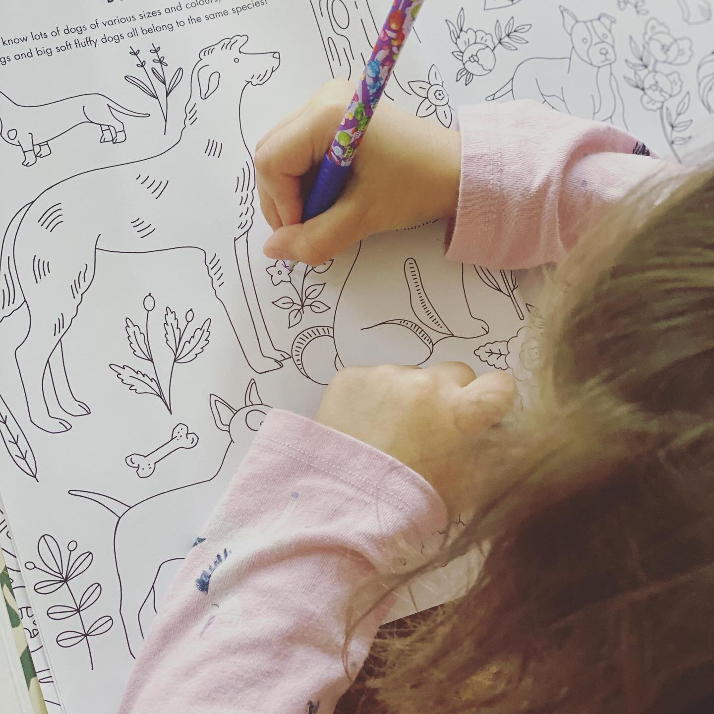 The Evolution Activity &amp; Colouring book is officially out! My kids finally got their hands on the colouring pages. Happy Monday! #colouring #activity #evolution #kids