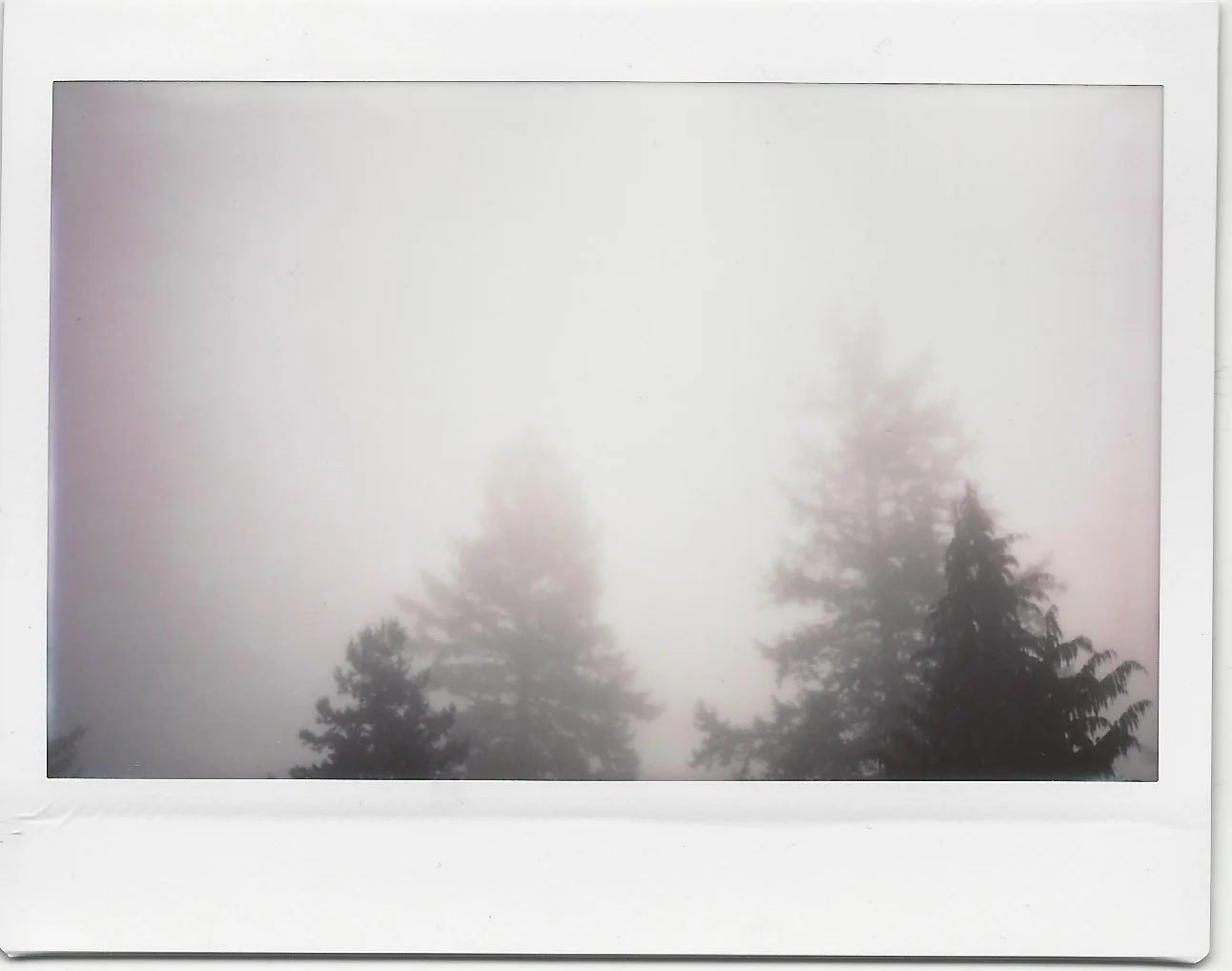 Polaroids 1 4.jpeg