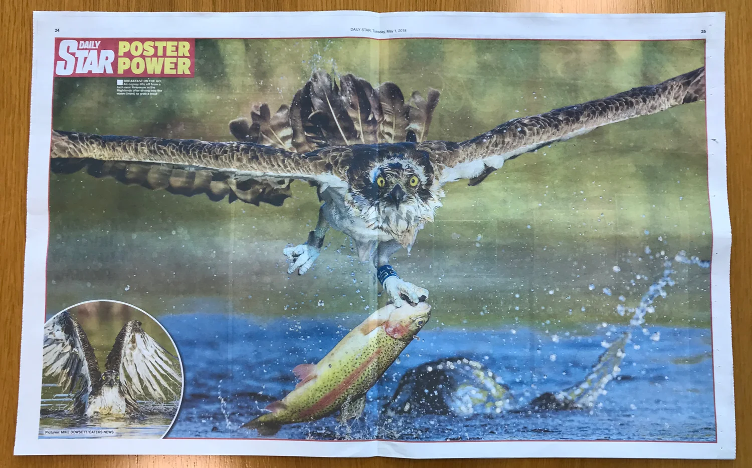Daily-Star-Centre-Spread-May-1st-2018
