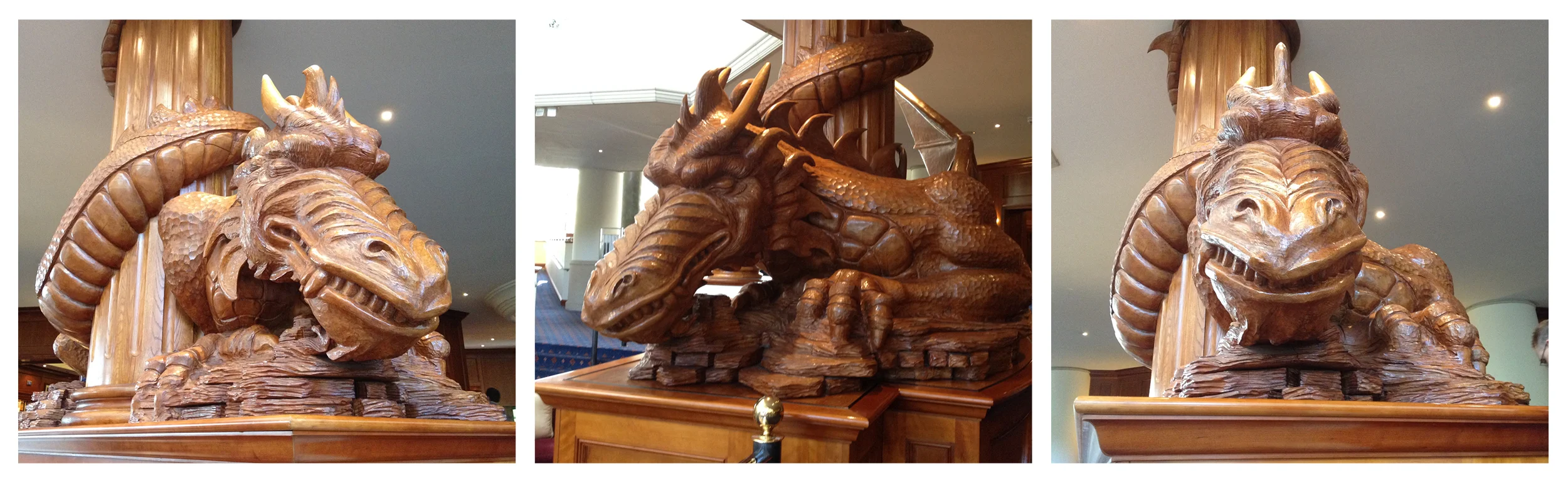 dragons