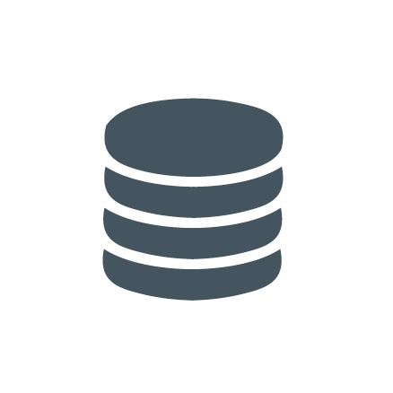 Data Manager