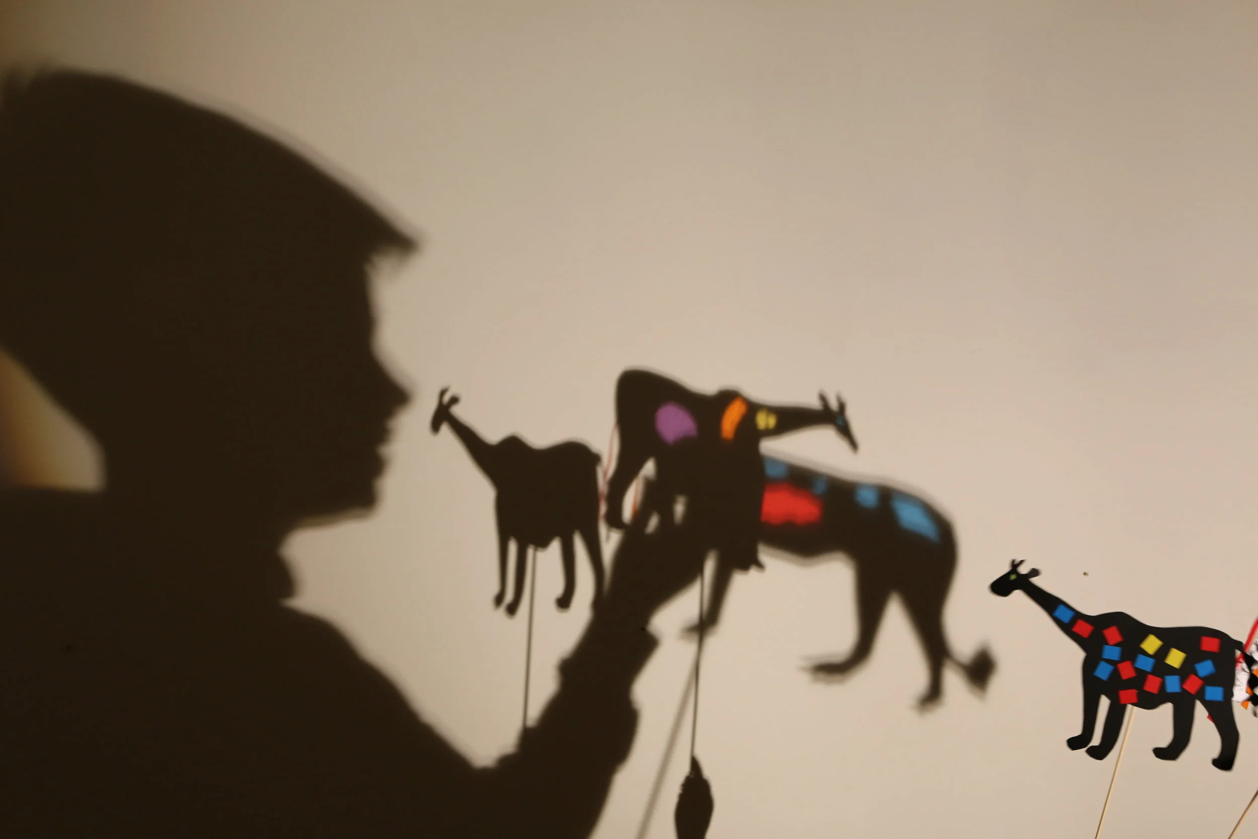  Project and image by Laura Phillimore. 